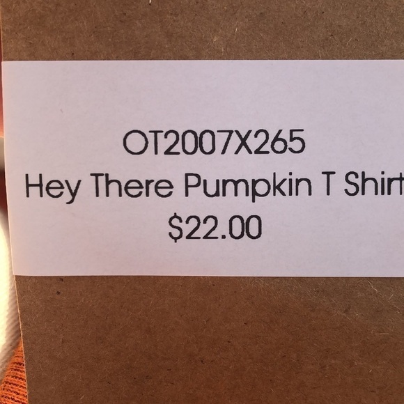 𝅺bella Canvas Hello Pumpkin T-Shirt NWT Size Large - Picture 4 of 5